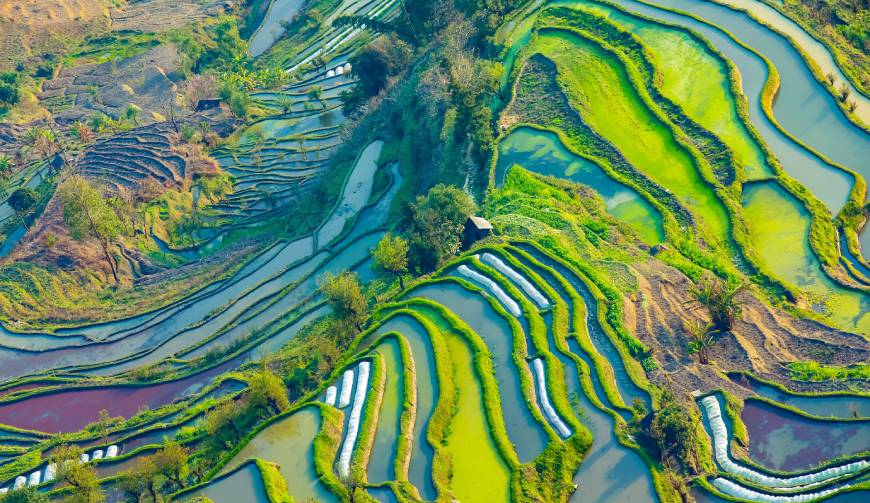 宝妈必备神器：镶黄旗产品视频拍摄轻松育儿好帮手
