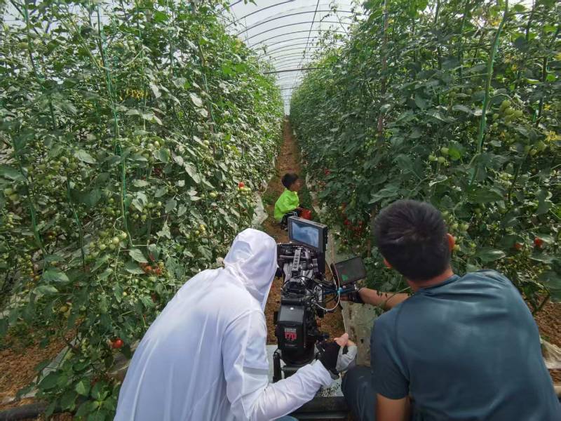 镶黄旗产品宣传视频拍摄公司进阶指南，助力品牌抢占传播高地